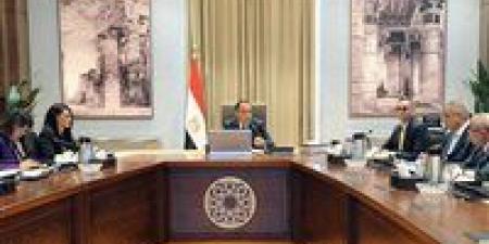 رئيس الوزراء يستعرض الهيكل التنظيمي لوحدة إعادة هيكلة الشركات المملوكة للدولة