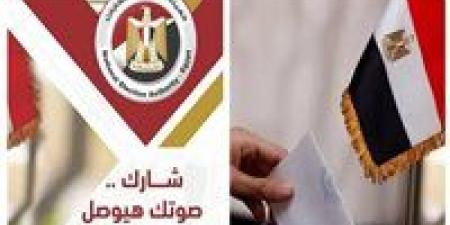 الهيئة الوطنية لم تلتزم بالقانون.. حيثيات إلغاء انتخابات النواب بالدائرة الثالثة في الأقصر