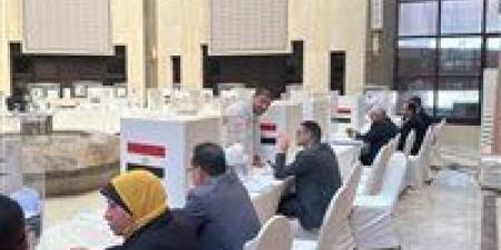 إقبال كبير من المصريين بالسعودية للتصويت في الدوائر الـ19 الملغاة بانتخابات مجلس النواب