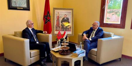 وزير الري يبحث مع نظيره المغربي تعزيز التعاون الثنائي فى مجال المياه