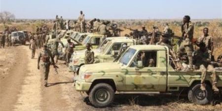 القتال يحتدم في غرب كردفان والجيش السوداني يواصل التقدم وسط ظروف إنسانية قاسية