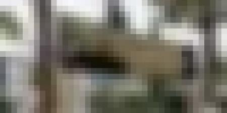 تنظيم مسابقة الدكتوراه من 20 إلى 31 جانفي 2026