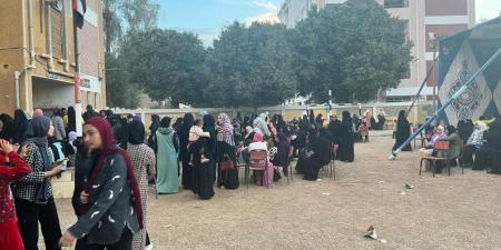 "التنسيقية": استمرار توافد الناخبين بقنا للتصويت في انتخابات مجلس النواب 2025