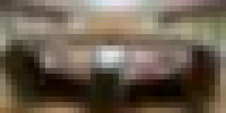 تطوير التجارة الإلكترونية.. الوزير الأول يترأس اجتماعـــا للحكومــــة