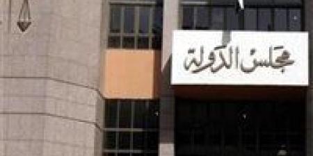 انتخابات النواب 2025.. موجة طعون تكشف قوة المنافسة في الدوائر