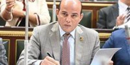 النائب عمرو القطامى لـ تحيا مصر: أعتذر عن الاستمرار فى انتخابات مجلس النواب 2025 عن دائرة أكتوبر وزايد والواحات