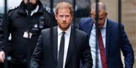 الأمير هاري يسخر من ترامب ويكشف عن طموحاته الفنية