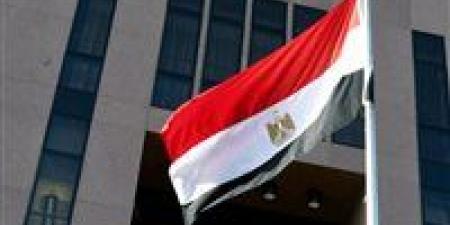 مصر و7 دول يؤكدون رفضهم لتهجير الفلسطينيين والتزامهم بخطة ترامب لغزة