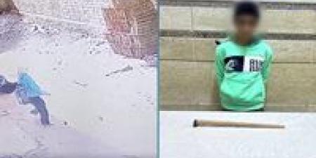 ضربها بعصا ودفعها أرضا.. التعدي على طالبة لسرقة هاتفها في الشرقية