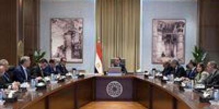 الحكومة: تفعيل آليات التصدي للشائعات وتغليظ العقوبات ضد مروّجي الأخبار الكاذبة