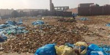 بتكليف محافظ البحر الأحمر.. حملة مرور على الشركات التي تعمل في مجال إدارة المخلفات الصلبة الغير خطرة بمنطقة الحرف