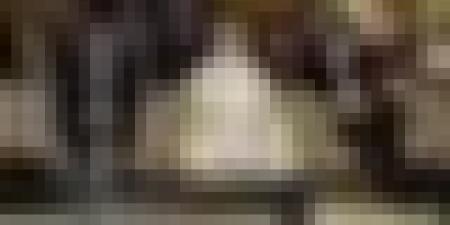 إصدار الدليل الوطني لتحسين الرعاية الصحية للنساء والأطفال وتنصيب شبكة التكفل بالمرأة الحامل