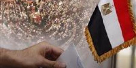 انطلاق تصويت المصريين بالخارج في كندا والولايات المتحدة وكوبا وتشيلي وبوليفيا للدوائر الملغاة بالنواب