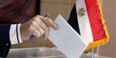 لليوم الثاني.. السفارات المصرية في 18 دولة تواصل استقبال الناخبين في انتخابات الدوائر المُلغاة
