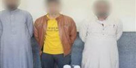 البحيرة: ضبط مخالفة دعائية بمحيط إحدى الدوائر الانتخابية بحوش عيسى خلال اليوم الأول للتصويت