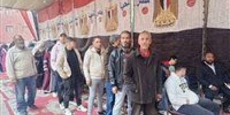 انتظام سير العملية الانتخابية في الدوائر الملغاة بمحافظة المنيا