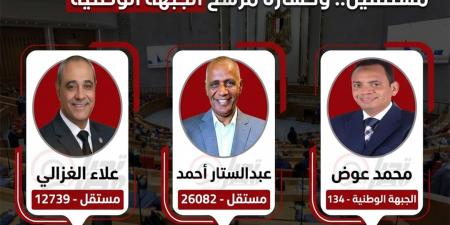 وفقا للحصر العددي.. إعادة مرتقبة بين 2 مرشحين مستقلين بـ القرنة - الأقصر.. وخسارة مرشح الجبهة الوطنية