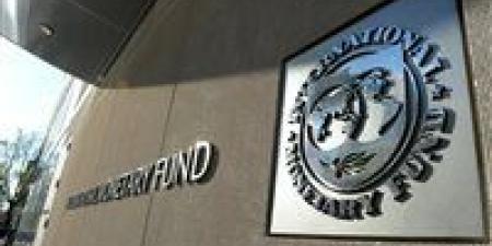 هل تصل بعثة النقد الدولي للقاهرة قريبًا؟ وموعد الحصول على الشريحتين الخامسة والسادسة؟.. المالية يجيب