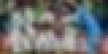 هذه التشيكلة الأساسية للمنتخب الوطني أمام الإمارات