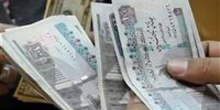 حقيقة زيادة المعاشات يناير 2026.. تفاصيل جديدة