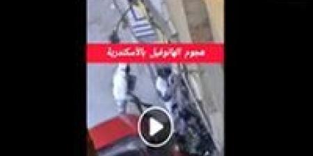 الداخلية تكشف تفاصيل مشاجرة بالأسلحة النارية والبيضاء في الهانوفيل بالإسكندرية