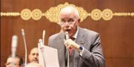 النائب حازم الجندي: مركز التجارة الإفريقي يُعزز حضور مصر الاقتصادي بالقارة ويفتح آفاقًا جديدة للصناعات الوطنية