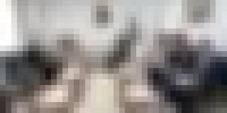 لقاء جزائري - هندي لبحث سبل تعزّيز الإستثمارات الهندية في الجزائر