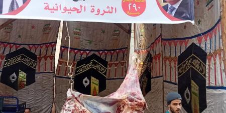 بسعر 290 جنيه.. محافظ أسيوط: استمرار فتح منافذ بيع اللحوم البلدية لتخفيف الأعباء عن المواطنين
