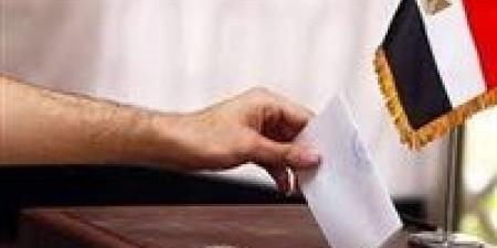 تحيا مصر يرصد.. خريطة مرشحي الأحزاب والمستقلين في جولة الإعادة للمرحلة الثانية من انتخابات مجلس النواب 2025