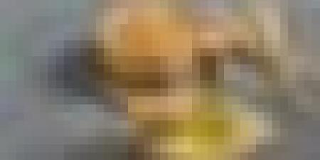 منها الفلفل الأحمر.. إليك 8 أطعمة مثالية لبصر أقوى