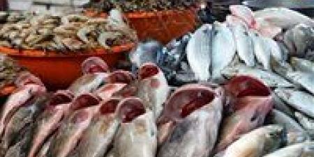 البلطي بكام النهارده؟.. اسعار السمك اليوم الثلاثاء 16 ديسمبر 2025 بالتفصيل