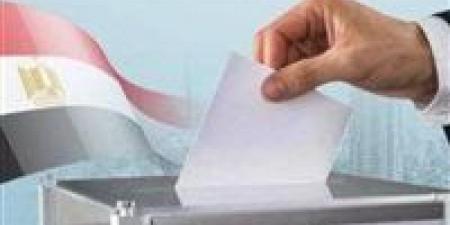 إقبال كثيف للمصريين في الرياض على التصويت بجولة الإعادة بانتخابات النواب