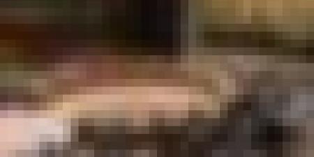 مجلس الأمن: الجزائر ترافع من أجل قيادة "رشيدة وقوية" للسلام