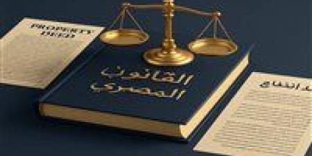 قانون اللاجئين.. الالتزام بالاتفاقيات الدولية ومراعاة مقتضيات السيادة الوطنية المصرية