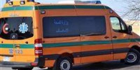 شهداء
      لقمة
      العيش..
      مصرع
      7
      من
      أبناء
      المعصرة
      في
      حادث
      ميكروباص