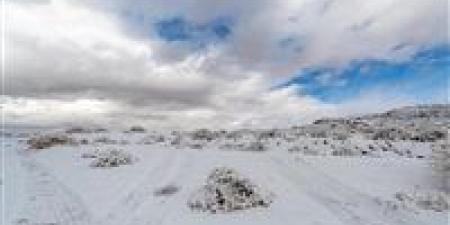 شتاء
      يضرب
      مبكرًا..
      5
      ليالٍ
      جليدية
      ودرجات
      الحرارة
      تهبط
      تحت
      10
      درجات
      في
      معظم
      المحافظات