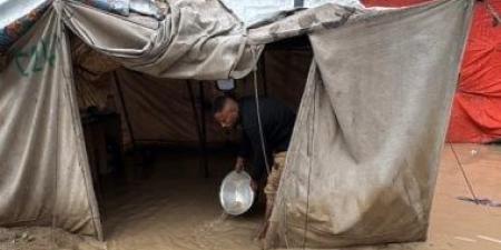 القمة الأوروبية تدعو إلى إدخال عاجل وآمن للمساعدات إلى غزة بما فيها ممر قبرص البحري