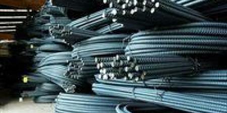 سعر
      الحديد
      اليوم
      السبت
      20
      ديسمبر
      2025
      في
      مصر..
      الطن
      للمستهلك
      يصل
      إلى
      41
      ألف
      جنيه