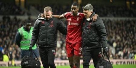 توتنهام ضد ليفربول.. إصابة إيزاك ثمن هدف تقدم الريدز فى الدورى الإنجليزى