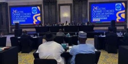 منصور أريمو رئيسا للاتحاد الأفريقي لكرة اليد.. ومدحت البلتاجي نائبًا أول