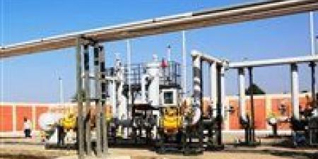 فى
      دفعة
      قوية
      لمسار
      التنمية..
      الدكتور
      إسماعيل
      كمال:
      إصدار
      تصاريح
      الحفر
      لبدء
      أعمال
      مد
      خطوط
      الغاز
      للقرى
      المدرجة
      بالمبادرة
      الرئاسية
      "حياة
      كريمة
      "