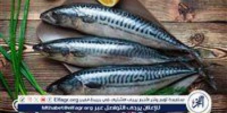 اسعار
      السمك
      اليوم
      الثلاثاء
      23ديسمبر
      2025
      فى
      المنيا