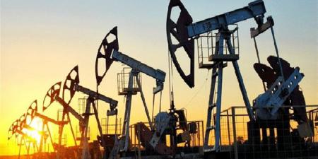 استقرار
      حذر
      في
      أسعار
      النفط
      مع
      مكاسب
      محدودة
      خلال
      تعاملات
      المساء