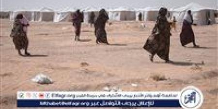 تصعيد
عسكري
مستمر
في
السودان:
القوات
المسلحة
تسيطر
على
مناطق
استراتيجية
والدعم
السريع
يتكبد
خسائر
كبيرة