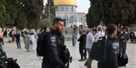 اقتحامات
      مستوطنين
      مكثفة
      للأقصى
      واعتقالات
      إسرائيلية
      نحو
      23 
      فلسطسنا
      بالضفة
      الغربية..
      تصعيد
      خطير
      يرفع
      حدة
      التوتر