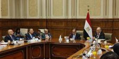 القصبي
لوزير
الخارجية:
التزام
الدولة
المصرية
للحقوق
والحريات
يتحقق
خلال
التشريعات