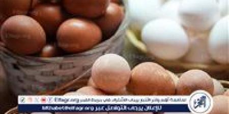 اسعار
      كرتونه
      البيض
      اليوم
      الخميس
      25ديسمبر
      2025
      فى
      المنيا