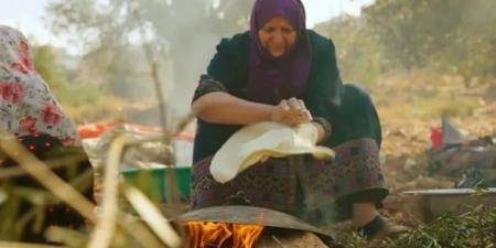 شجرة المهراس والديوانية بقائمة التراث غير المادى باليونسكو