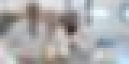 إطلاق أول أقلام إنسولين من الجيل الجديد في الجزائر