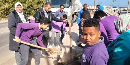 باستخدام المياه الرمادية.. انطلاق زراعة الأشجار بالغردقة وسفاجا ضمن المبادرة الرئاسية «100 مليون شجرة»